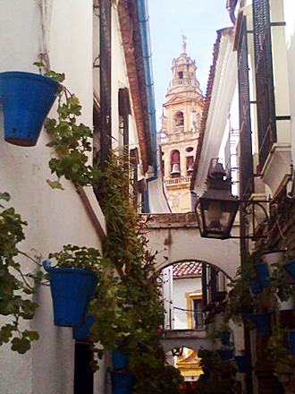 Calle de las Flores - Kordoba