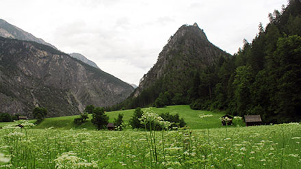Austriacki Tyrol