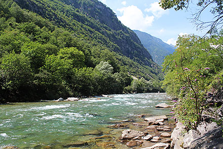 Rzeka Ticino