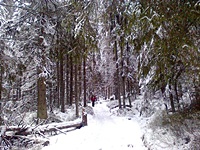 Dolina Pięciu Stawów Polskich zimą