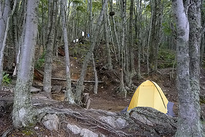 Mój namiot na kempingu - Ushuaia