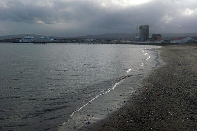 Plaa w Punta Arenas