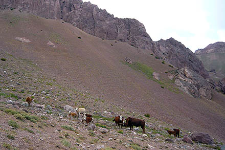 Cerro Penitentes