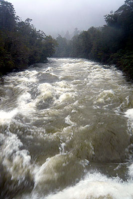 Rzeka Moeraki po obfitych deszczach
