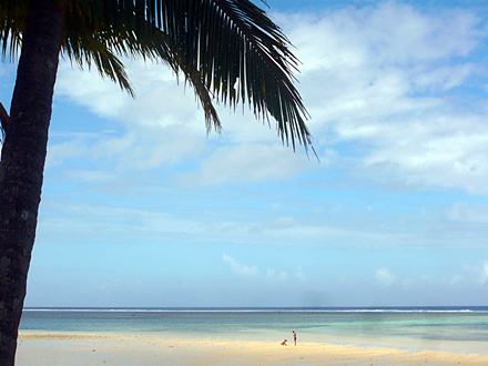 Beachouse, Fidi