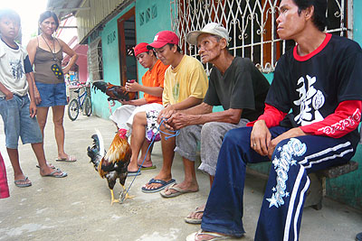 Kogut do walk - El Nido, Palawan, Filipiny