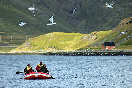 Wdkowanie w pobliu Nordkap, Norwegia